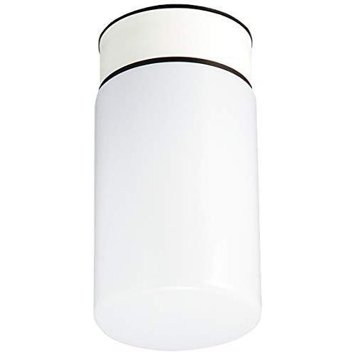 大光電機 浴室灯(ランプ付) LED電球 4.9W(E26) 電球色 2700K DWP-40625Y