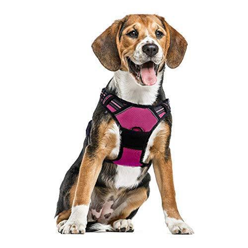 ハーネス 犬 中型犬 8 23kg 用 引っ張り防止 ソフト 柴犬 犬用 サイズ調節可 運動向き しつけ はーねす 介 抜けない 老犬 胴輪 競売 着脱簡単