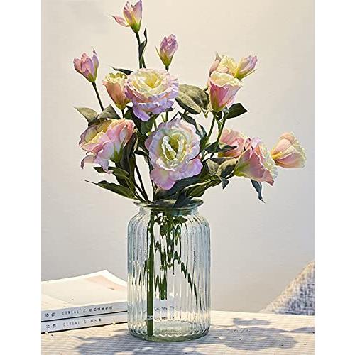 正規品販売 ガラスの花瓶 大 おしゃれ 透明 花器 フラワーベース 大きな花瓶 ガラスベース ガラスボトル アレンジ インテリア 水栽培 生け花 造花 おしゃれ 花瓶 花器 Fdctheclub Com