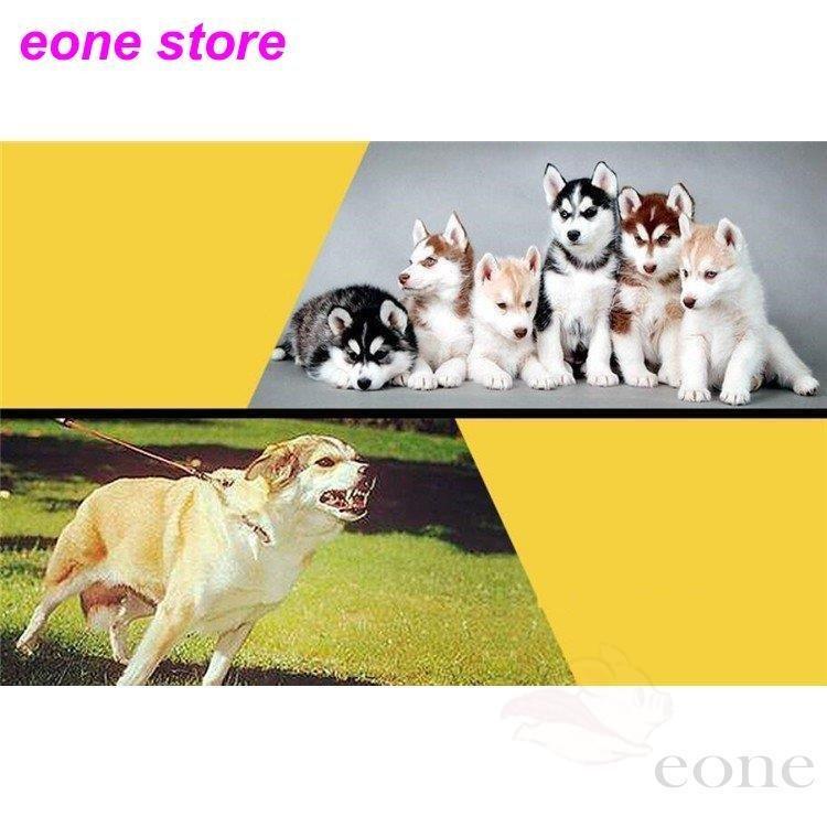 犬 吠え防止 噛みつき防止 口輪 無駄吠え 拾い食い 新作 超軽量 口 しつけ用 大中型犬用 ペット用品 犬用品 Htmd009 Happy Tree Mall 通販 Yahoo ショッピング