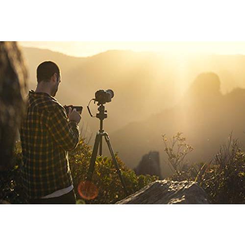 SYRP Genie Mini II SY0033-0001 ブラック Genie Mini SY0033