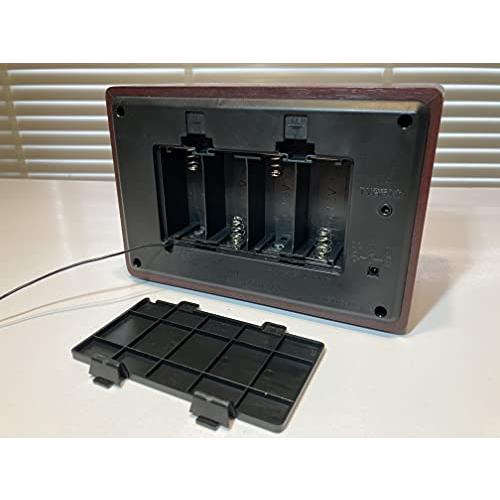 FESCO 唱歌ラヂオ DX100 AM/FMラジオ付き音楽プレイヤー SRDX-001 SRDX