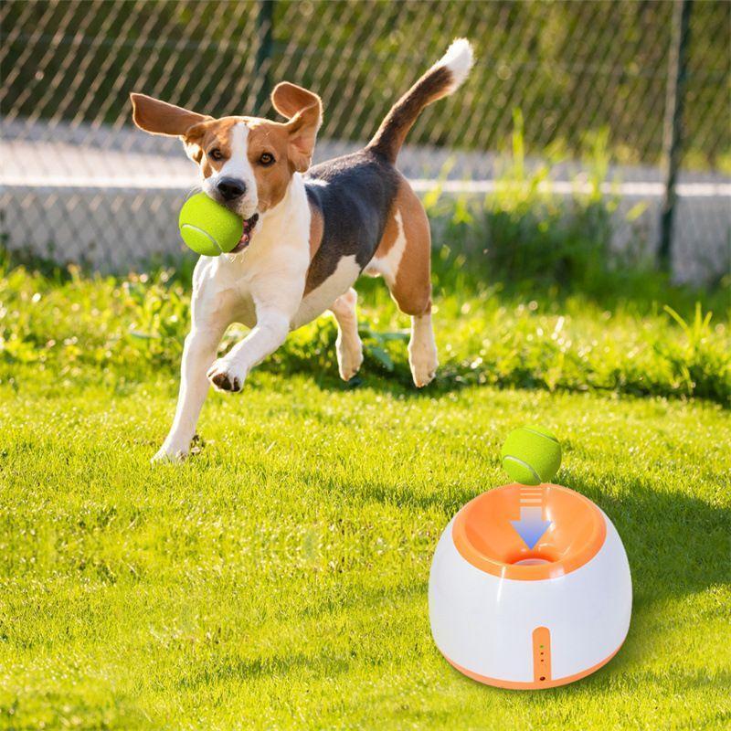 ペットおもちゃ ボールランチャー 犬用ボール 自動テニスボール ペットおもちゃ ボールランチャー 犬用ボール 自動テニスボール