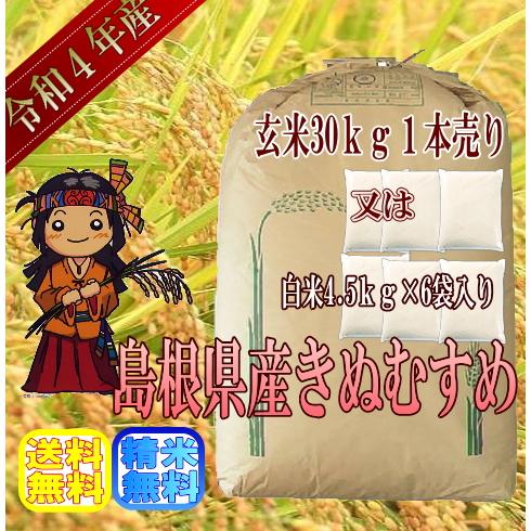 新米】令和5年産 玄米30kg 島根県産きぬむすめ 送料無料（一部地域を