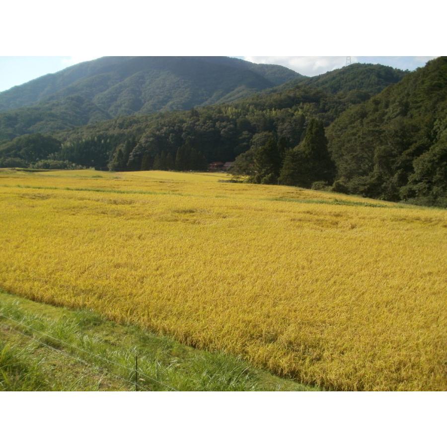 令和5年産　15kg ／ 島根県産つや姫　1等米　飯南町頓原地区限定　特別栽培米　大万木山ブナ林の精　送料無料（一部地域を除く）｜harada-riceshop｜05