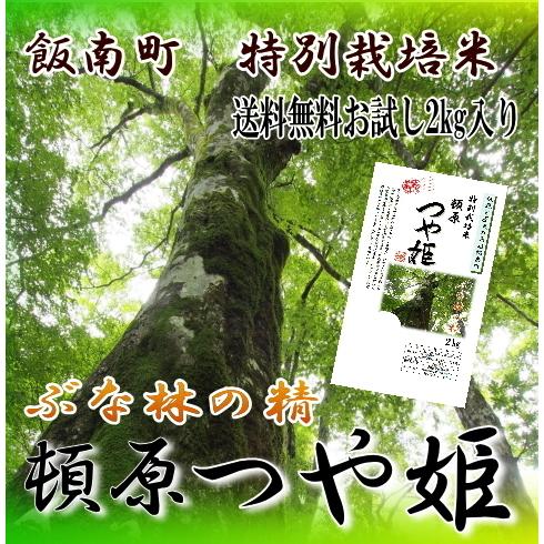 つや姫 令和7年産 白米2kg ／ 島根県産つや姫 1等米 飯南町頓原地区 