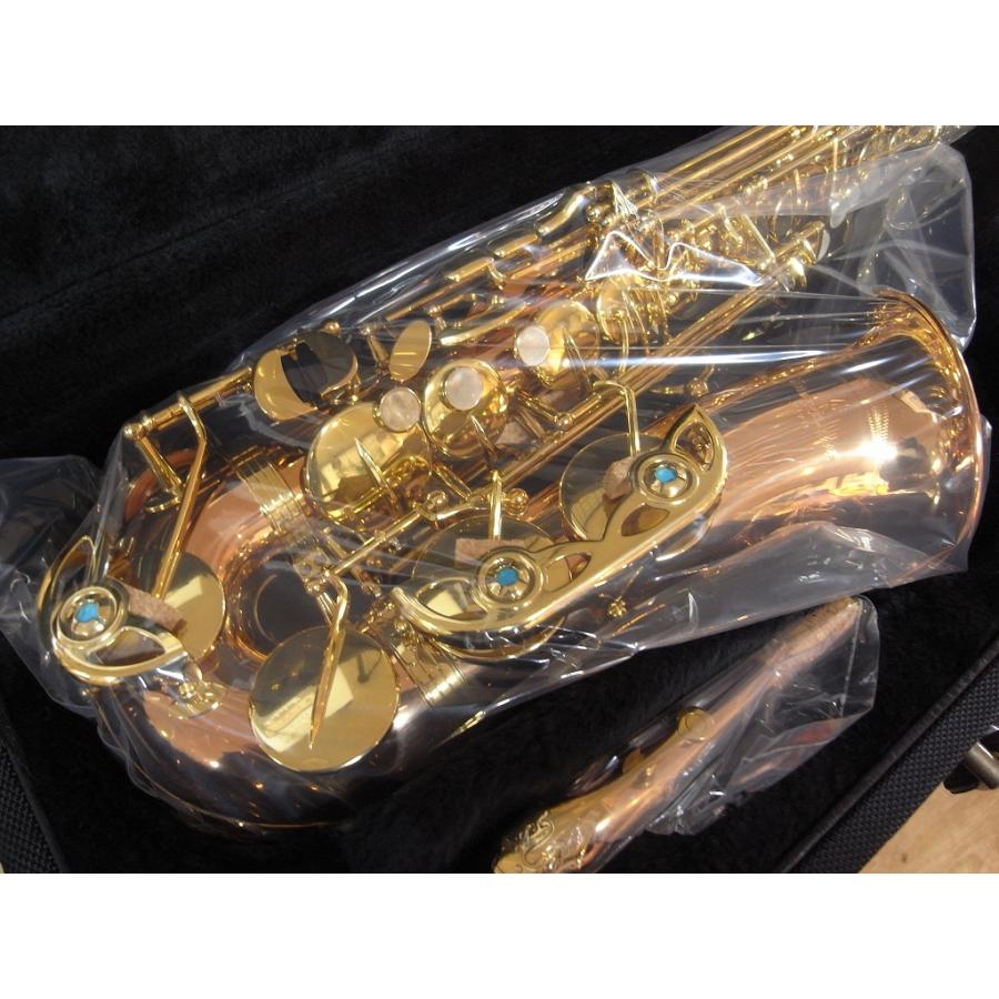 YANAGISAWA 【新品・豪華特典付・プロの整備点検付】ヤナギサワ
