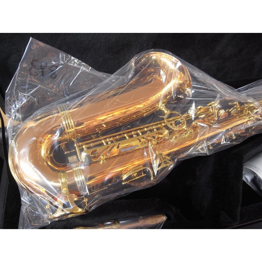 YANAGISAWA 【新品・豪華特典付・プロの整備点検付】ヤナギサワ