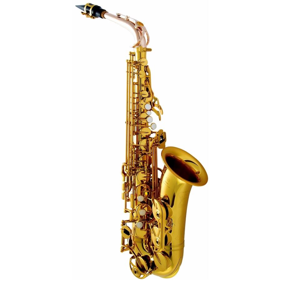 YAMAHA（ヤマハ） 【限定品・新品・特典付】YAMAHA・YAS-62NM