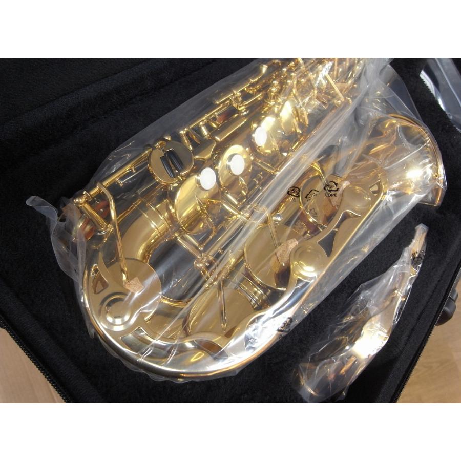 YAMAHA 【即納・新品・正規品・特典(バンドレンリード5枚)・5年