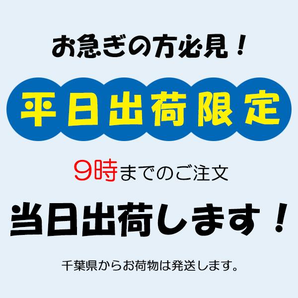 日本製　マスクレースおしゃれ 秋冬 ネックストラップ 金属アレルギー対応 マスクコード ストラップ レース 花柄 マスク ストラップ マスクバンド （ゴールド） |  | 20