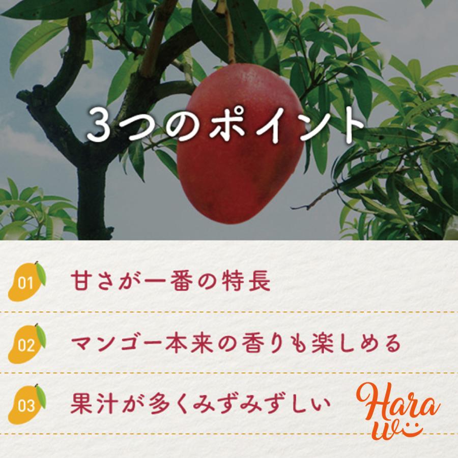 7月発送】台湾 マンゴー 5kg(10〜14個入) ※日付指定不可 7月発送】台湾 マンゴー 5kg(10〜14個入) ※日付指定不可
