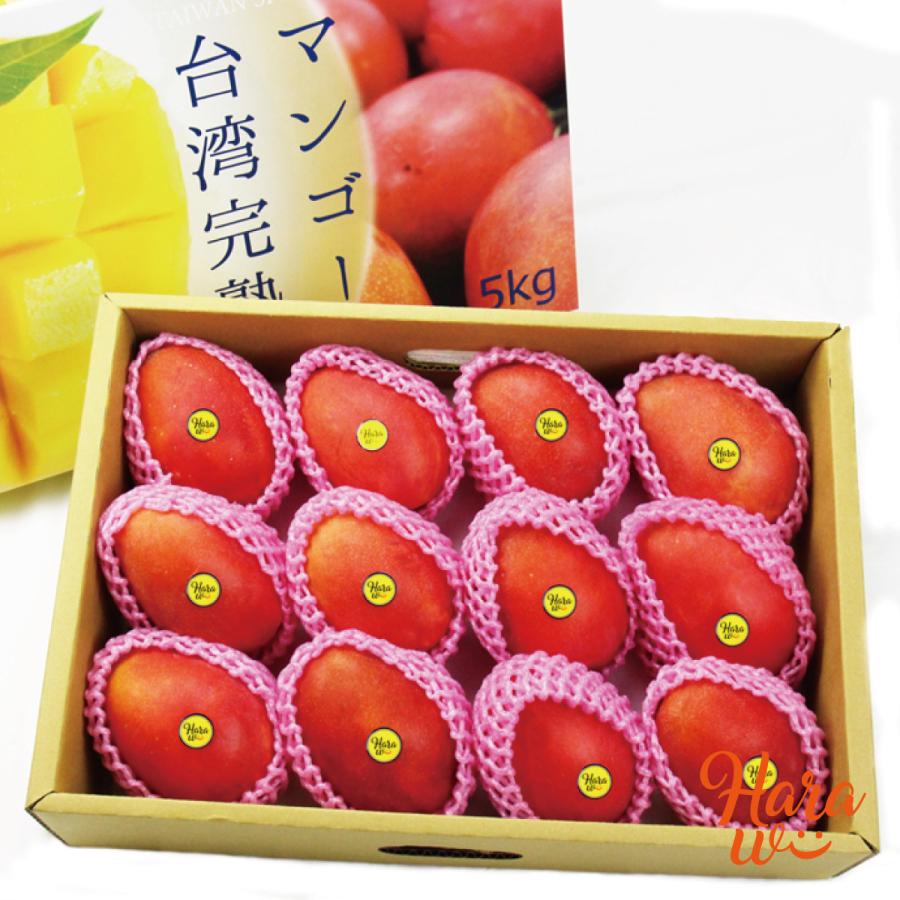 7月発送】台湾 マンゴー 5kg(10〜14個入) ※日付指定不可 7月発送】台湾 マンゴー 5kg(10〜14個入) ※日付指定不可
