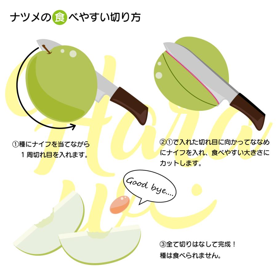 3月中旬発送】「期間限定販売」台湾 ナツメ -蜜棗- 1箱（2.5kg） ※日付