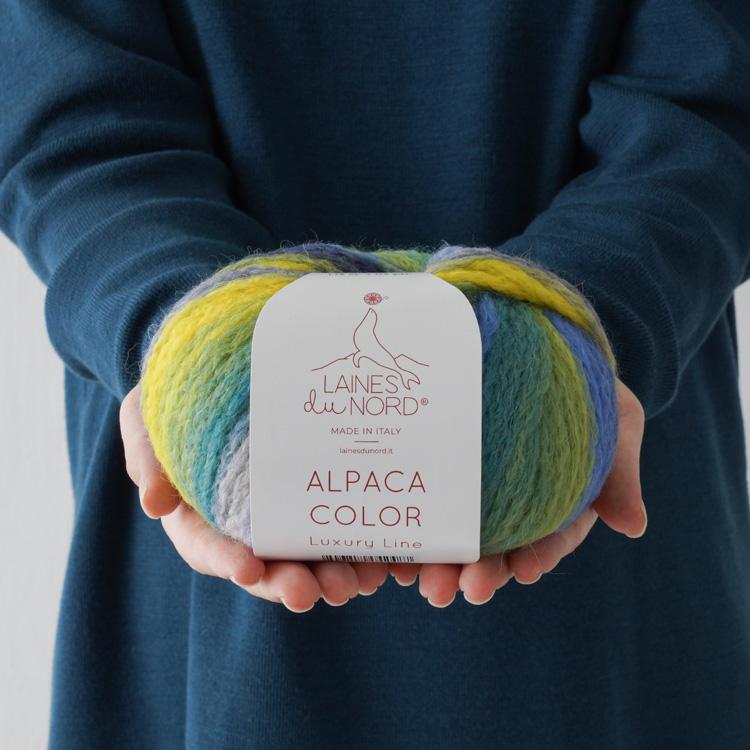 LAINES du NORD 毛糸 ALPACA COLOR 超極太 50g(115m) アルパカ