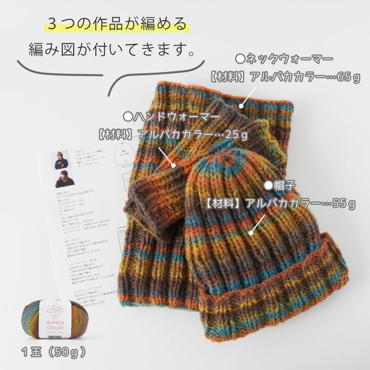 LAINES du NORD 毛糸 ALPACA COLOR 超極太 50g(115m) アルパカ