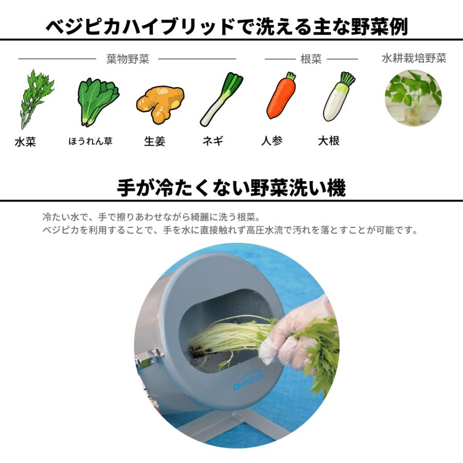 買い割 野菜 洗浄機 ベジピカハイブリッド 洗い機 | forrajeraelizondo.com