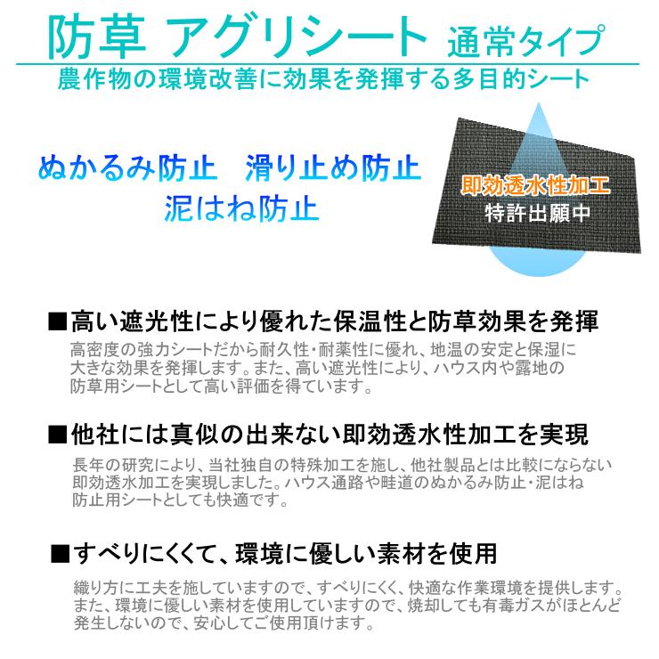全日本送料無料 すべりにくい 防草シート 2 100m アグリシート 日本ワイドクロス 1515 Sg1515 大流行中 Www Thedailyspud Com