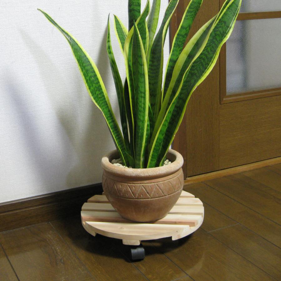 杉 キャスター付きすのこ（丸型）（65mm×直径280mm） 円形 スノコ 65mm厚 28cm : ハードエイト - 通販 - Yahoo ...