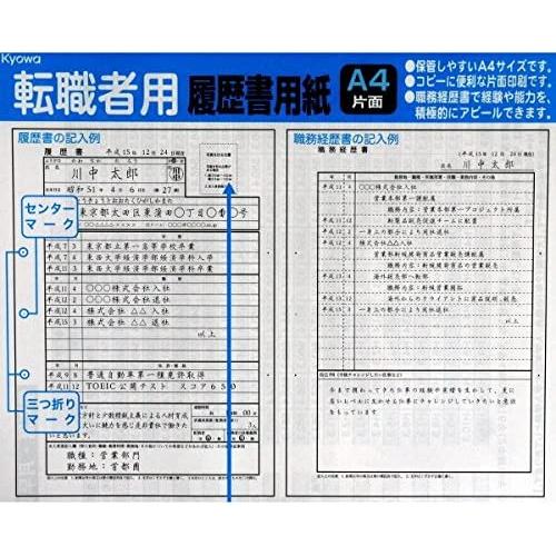 職務経歴書で経験・能力をアピールできる！★【日本製】 A4片面 履歴書用紙セット★（転職者用）｜hare-mart｜04