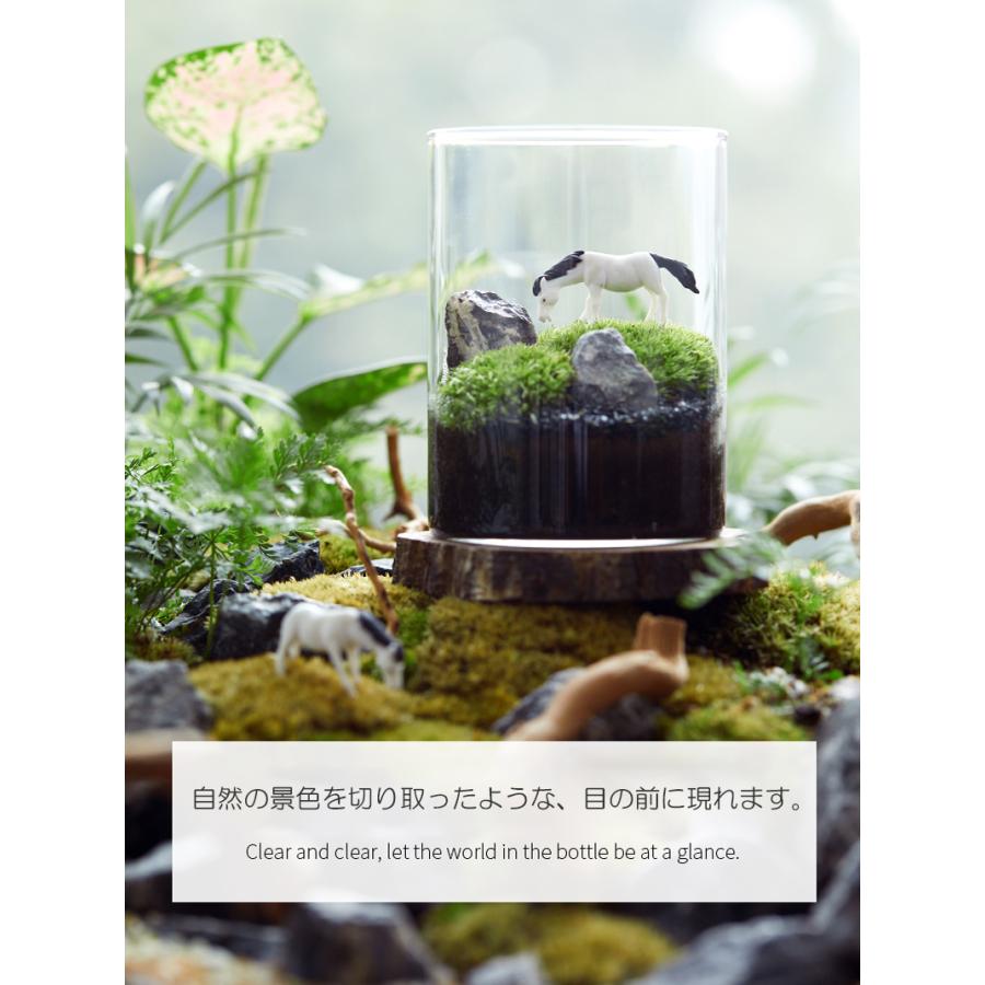 人気商品 苔テラリウム コケ栽培セット 道具備え ガーデニング ストア プレゼント 送料無料 観葉植物 インテリア雑貨 ギフト Tb05