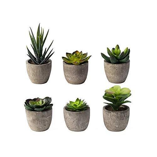 楽天 6 ポット 小型 人工多肉植物 ミニ フェイク人工多肉植物 棚 キッチン カウンター オフィスの装飾 小さなミニチ 超激安 M Mahdi Net
