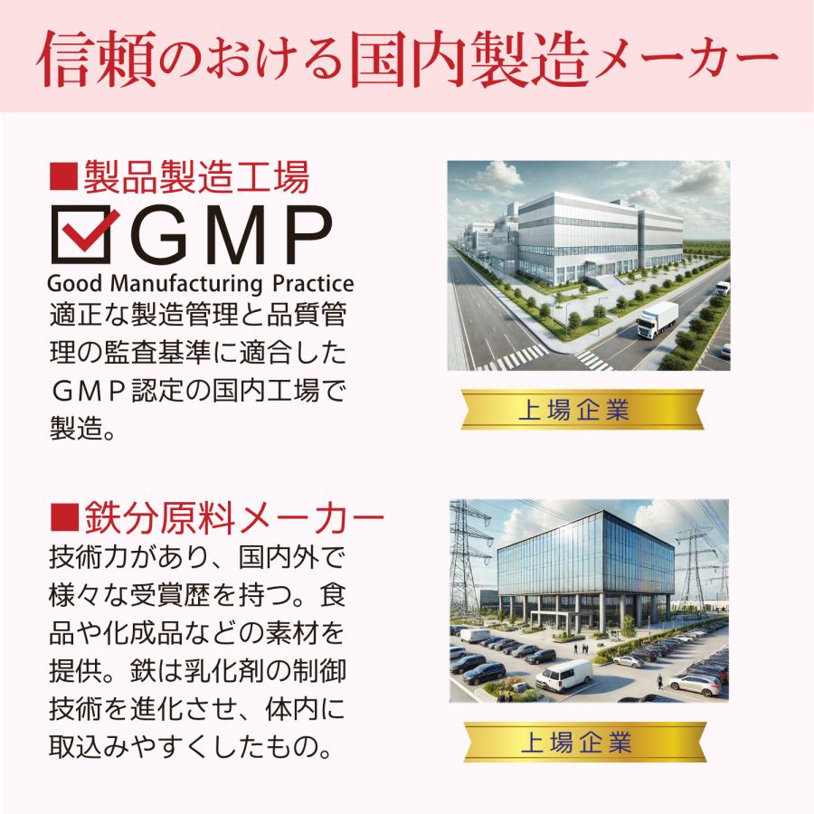 鉄 サプリ 90日分 吸収率 鉄分 サプリメント 葉酸 ビタミンB12 銅 赤血球 鉄分不足 妊婦 妊娠 授乳 非 ヘム鉄 | HARELU（サプリ） | 10