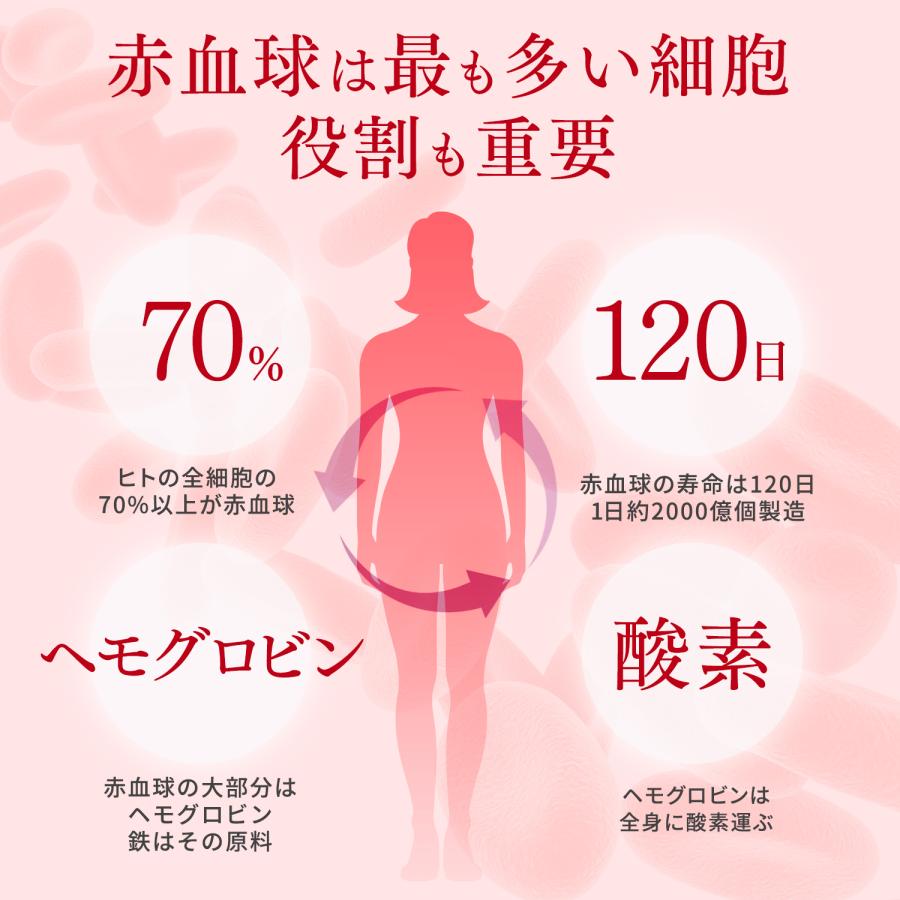 鉄 サプリ 90日分 吸収率 鉄分 サプリメント 葉酸 ビタミンB12 銅 赤血球 鉄分不足 妊婦 妊娠 授乳 非 ヘム鉄 | HARELU（サプリ） | 04
