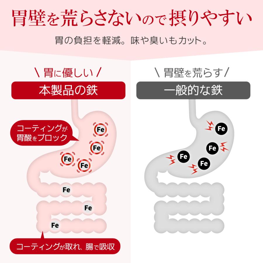 鉄 サプリ 90日分 吸収率 鉄分 サプリメント 葉酸 ビタミンB12 銅 赤血球 鉄分不足 妊婦 妊娠 授乳 非 ヘム鉄 | HARELU（サプリ） | 06