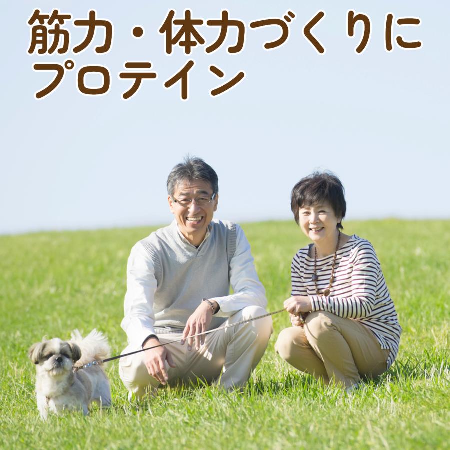 ソイプロテイン シニアプロテイン マルチビタミン 乳酸菌 植物性 ココア味 500g たんぱく質 中高年 40代 50代 女性 中年 男性 ダイエット 筋力維持 低脂質 |  | 01