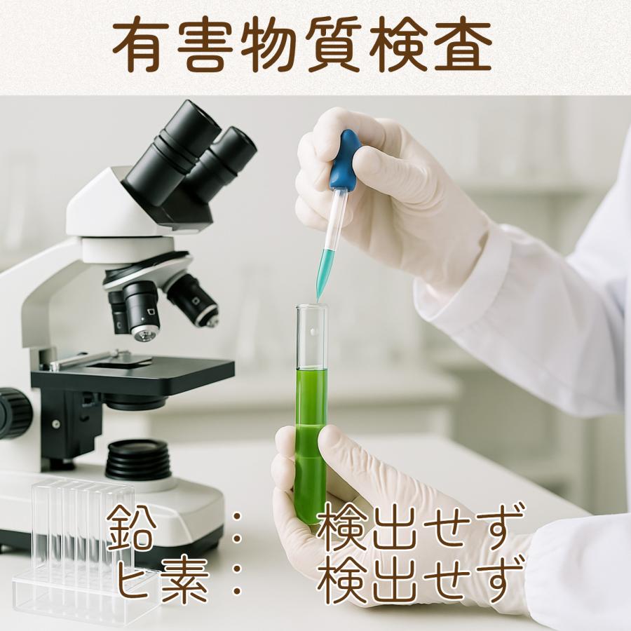 ソイプロテイン シニアプロテイン マルチビタミン 乳酸菌 植物性 抹茶味 500g たんぱく質 中高年 40代 50代 女性 中年 男性 ダイエット 筋力維持 低脂質 |  | 12