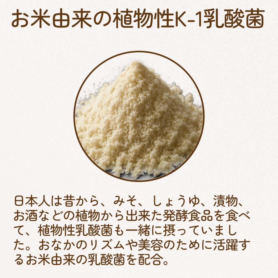 ソイプロテイン シニアプロテイン マルチビタミン 乳酸菌 植物性 抹茶味 500g たんぱく質 中高年 40代 50代 女性 中年 男性 ダイエット 筋力維持 低脂質 |  | 06