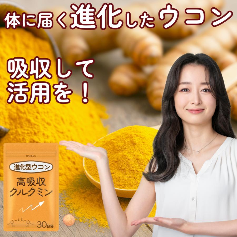 ウコン サプリ クルクミン サプリメント 高吸収 30日分 翌朝スッキリ ウコンのチカラ 美容 クルクミノイド ターメリック 日本製 | HARELU（サプリ） | 11