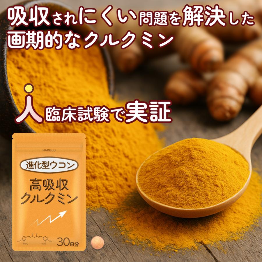 ウコン サプリ クルクミン サプリメント 高吸収 30日分 翌朝スッキリ ウコンのチカラ 美容 クルクミノイド ターメリック 日本製 | HARELU（サプリ） | 02