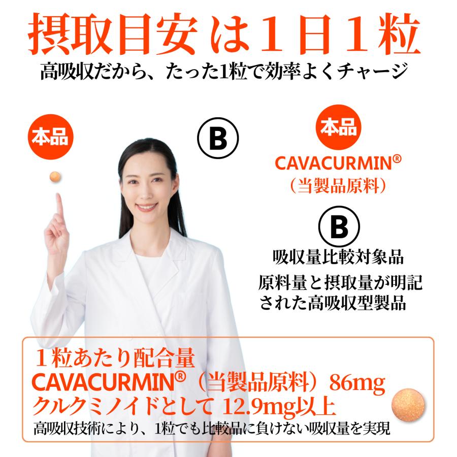 ウコン サプリ クルクミン サプリメント 高吸収 30日分×3袋 翌朝スッキリ ウコンのチカラ 美容 クルクミノイド ターメリック 日本製 | HARELU（サプリ） | 11