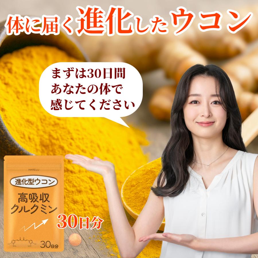 ウコン サプリ クルクミン サプリメント 高吸収 30日分×3袋 翌朝スッキリ ウコンのチカラ 美容 クルクミノイド ターメリック 日本製 | HARELU（サプリ） | 12