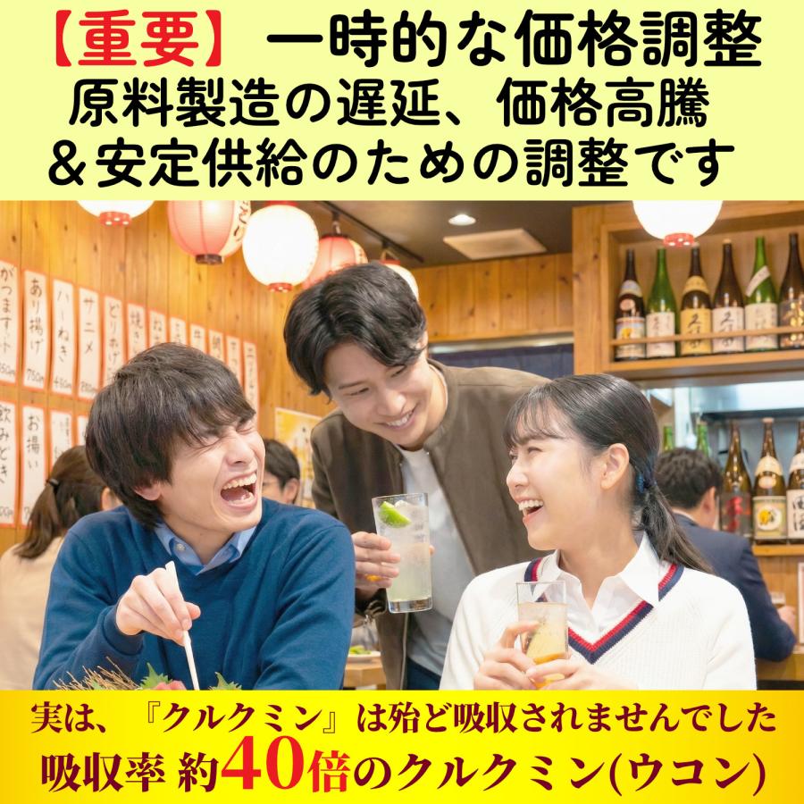 ウコン サプリ クルクミン サプリメント 高吸収 30日分×3袋 翌朝スッキリ ウコンのチカラ 美容 クルクミノイド ターメリック 日本製 | HARELU（サプリ） | 01