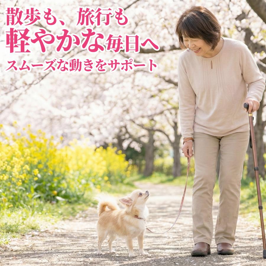 ウコン サプリ クルクミン サプリメント 高吸収 30日分×3袋 翌朝スッキリ ウコンのチカラ 美容 クルクミノイド ターメリック 日本製 | HARELU（サプリ） | 03