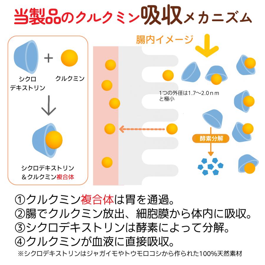 ウコン サプリ クルクミン サプリメント 高吸収 30日分×3袋 翌朝スッキリ ウコンのチカラ 美容 クルクミノイド ターメリック 日本製 | HARELU（サプリ） | 06