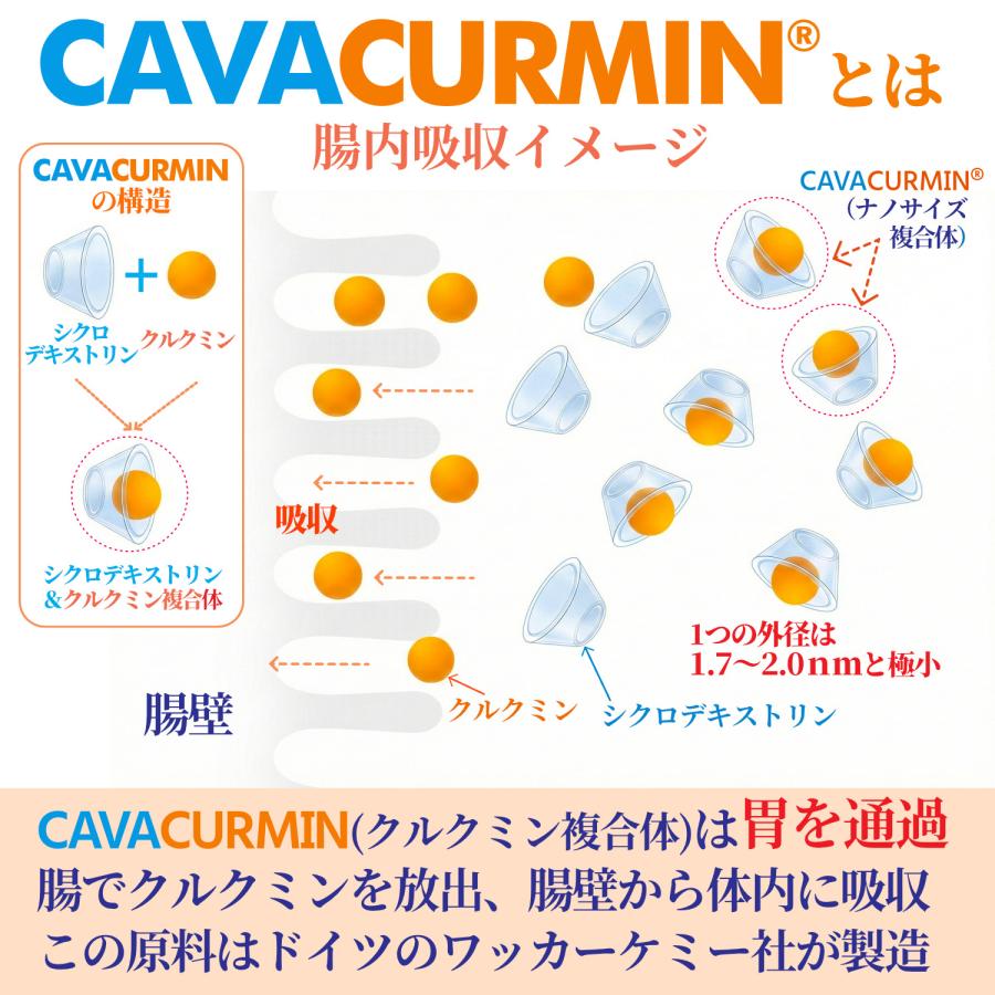 ウコン サプリ クルクミン サプリメント 高吸収 30日分×3袋 翌朝スッキリ ウコンのチカラ 美容 クルクミノイド ターメリック 日本製 | HARELU（サプリ） | 06