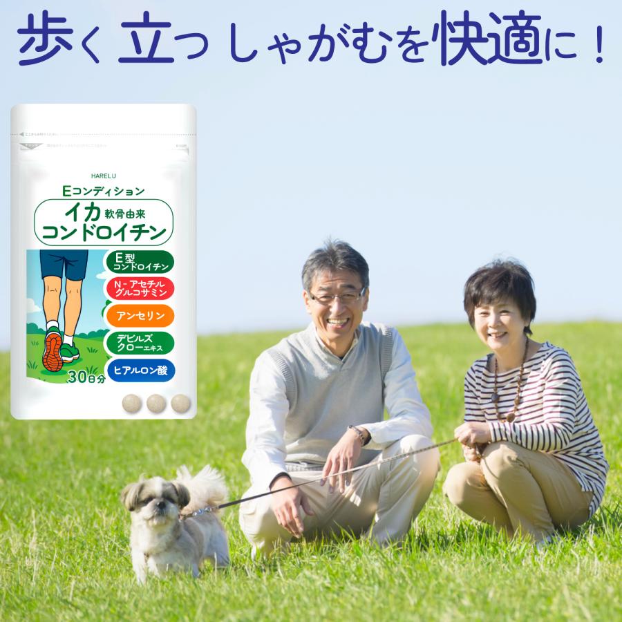 コンドロイチン サプリ E型コンドロイチン コンドロイチンE N-アセチルグルコサミン アンセリン デビルズクローエキス ヒアルロン酸 30日分 | HARELU（サプリ） | 01
