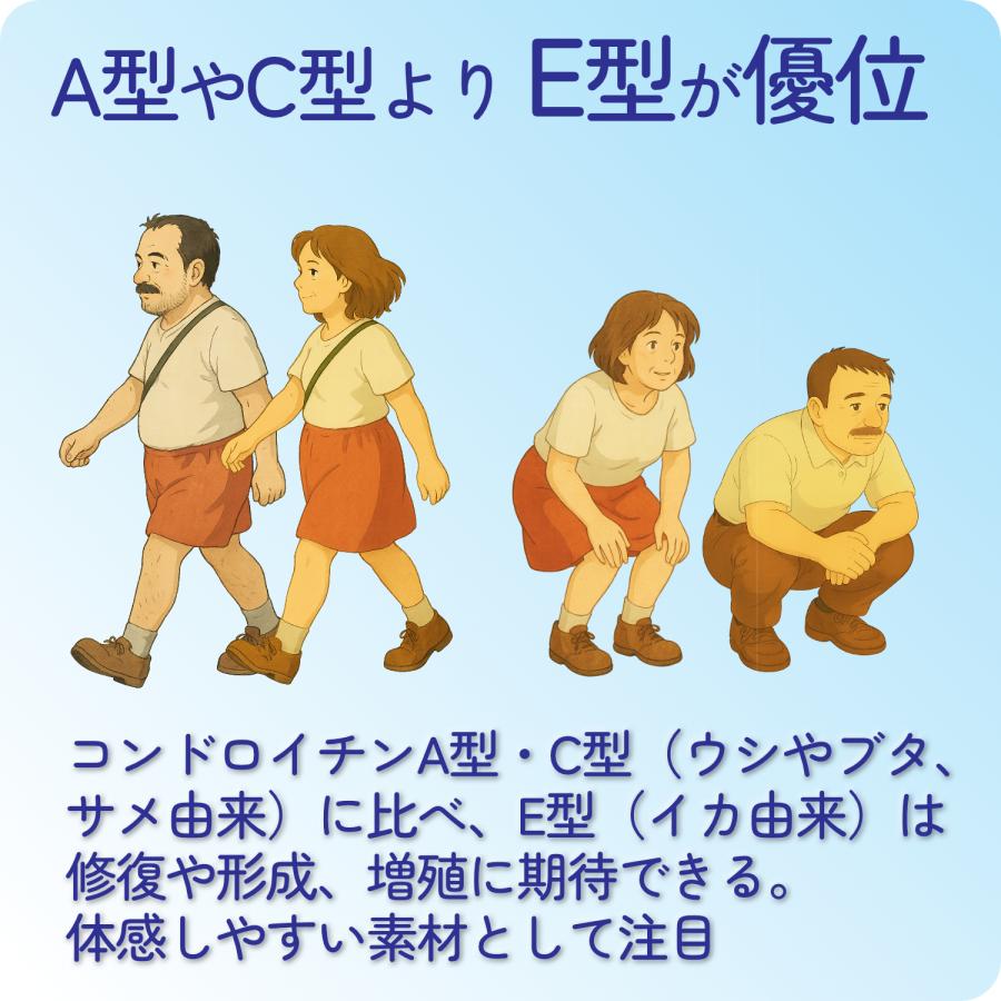 コンドロイチン サプリ E型コンドロイチン コンドロイチンE N-アセチルグルコサミン アンセリン デビルズクローエキス ヒアルロン酸 30日分 | HARELU（サプリ） | 04