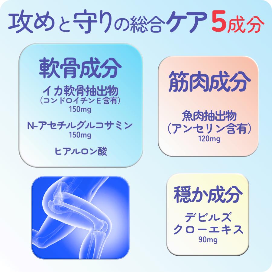 コンドロイチン サプリ E型コンドロイチン コンドロイチンE N-アセチルグルコサミン アンセリン デビルズクローエキス ヒアルロン酸 30日分 | HARELU（サプリ） | 06
