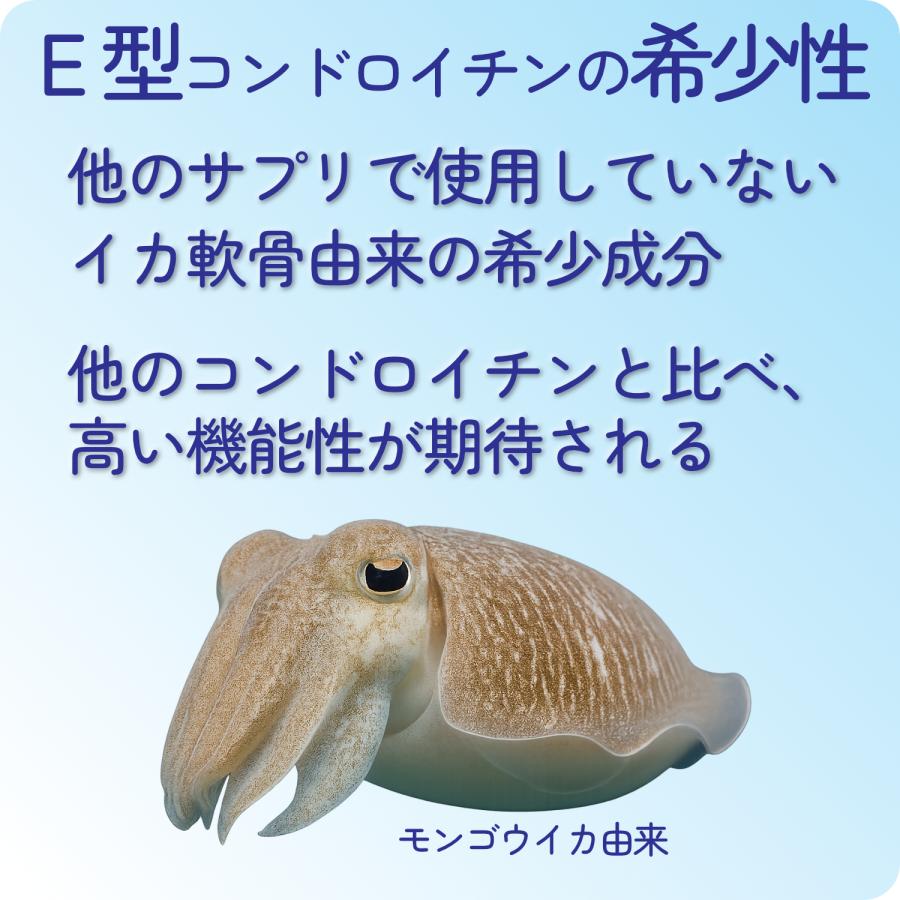 コンドロイチン サプリ E型コンドロイチン コンドロイチンE N-アセチルグルコサミン アンセリン デビルズクローエキス ヒアルロン酸 30日分×2袋 | HARELU（サプリ） | 02