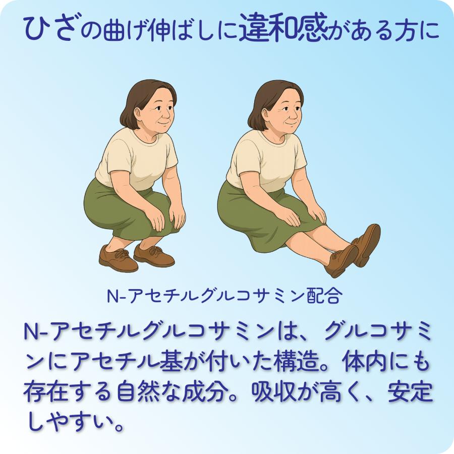 コンドロイチン サプリ E型コンドロイチン コンドロイチンE N-アセチルグルコサミン アンセリン デビルズクローエキス ヒアルロン酸 30日分×2袋 | HARELU（サプリ） | 05