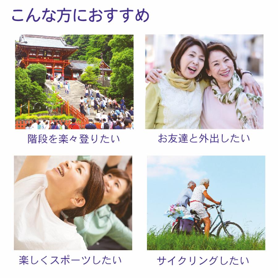 グルコサミン コンドロイチン サプリメント (3ヶ月分) 2型コラーゲン ヒアルロン酸 鮫の軟骨抽出物 筋骨草エキス 骨砕補エキス キャッツクローエキス 軟骨 | HARELU（サプリ） | 06