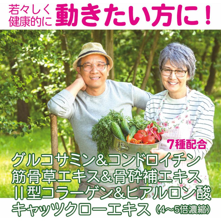 グルコサミン コンドロイチン サプリメント (3ヶ月分)×3袋 2型コラーゲン ヒアルロン酸 鮫の軟骨抽出物 筋骨草エキス 骨砕補エキス キャッツクローエキス 軟骨 | HARELU（サプリ） | 01
