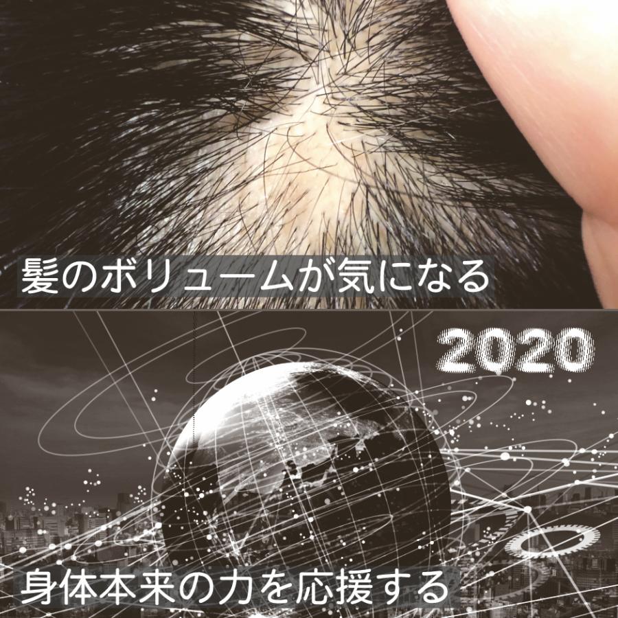 亜鉛 サプリメント 1日分 1日1粒 男性 女性 エイジングケア 元気 美容 子供 髪の毛 薄毛 育毛 妊活 精力 Zinc アエン Ex 二日酔い ネイルケア 大切な亜鉛 Harelu1026 サプリ Harelu 通販 Yahoo ショッピング