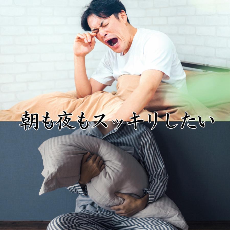 テアニン サプリ L-テアニン 200mg 30日分  くつろぎ ゆっくり 爽快 お休みなさい | HARELU（サプリ） | 04