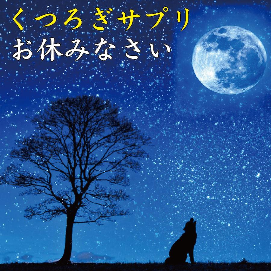 テアニン サプリ L-テアニン 200mg 30日分×3袋 くつろぎ ゆっくり 爽快 お休みなさい | HARELU（サプリ） | 01